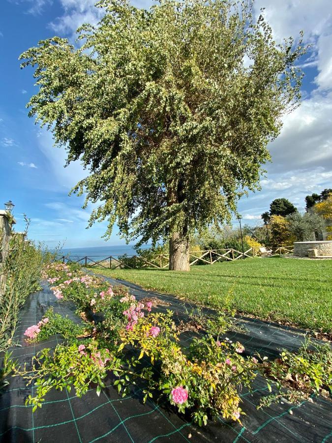 Residenza B&B Vistamare Petacciato Exteriér fotografie